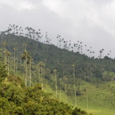 Imagen de galería