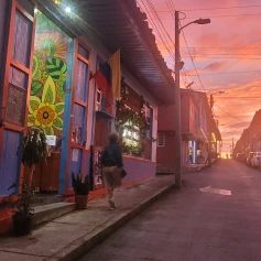 Imagen de galería
