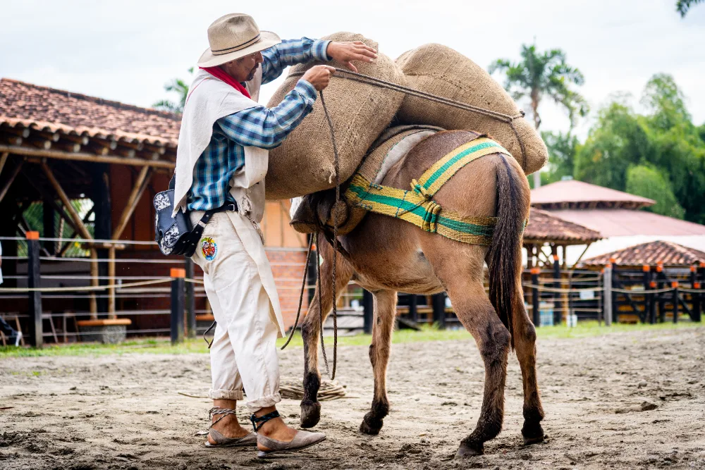 Parque Los Arrieros: Un Viaje Vibrante al Corazón de la Cultura Cafetera Quindiana